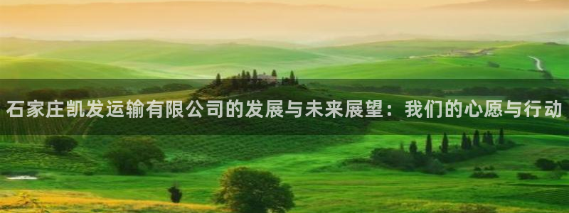 k8凯发4平台注册：石家庄凯发运输有限公司的发展与未来展望：我们的心愿与行动