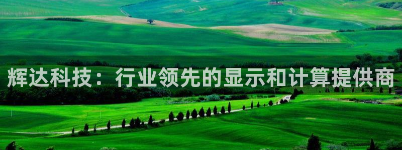 k8凯发体育代理：辉达科技：行业领先的显示和计算提供商