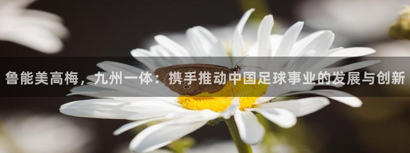 k8凯发体育3在线注册：鲁能美高梅，九州一体：携手推动中国足球事业的发展与创新