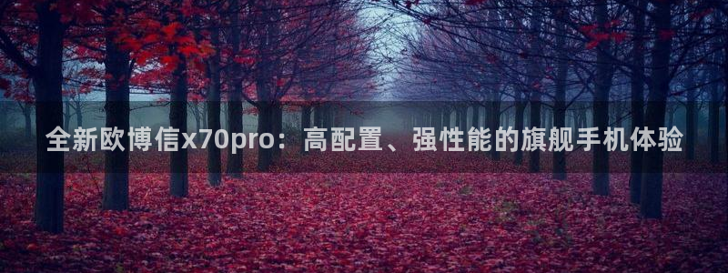 k8凯发环保：全新欧博信x70pro：高配置、强性能的旗舰手机体验