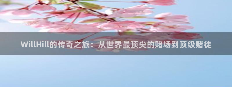 k8凯发体育老板是谁：WillHill的传奇之旅：从世界最顶尖的赌场到顶级赌徒