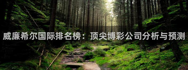 佛山市南海k8凯发机电仪器有限公司：威廉希尔国际排名榜：顶尖博彩公司分析与预测