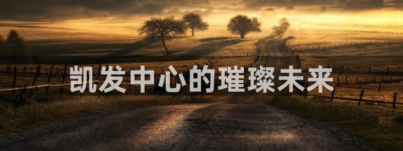 k8凯发平台总代理：凯发中心的璀璨未来
