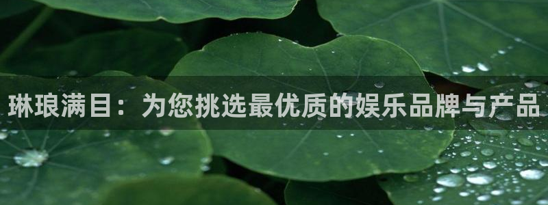 k8凯发2官网：琳琅满目：为您挑选最优质的娱乐品牌与产品