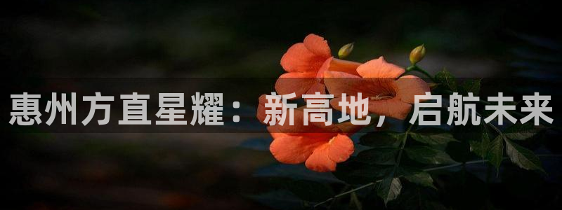 k8凯发官网入口：惠州方直星耀：新高地，启航未来