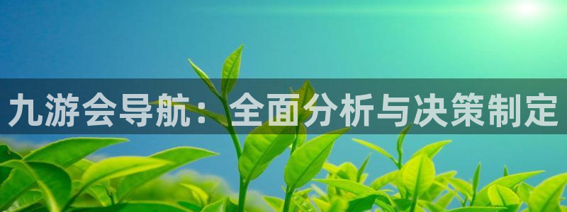 k8凯发体育f开号：九游会导航：全面分析与决策制定