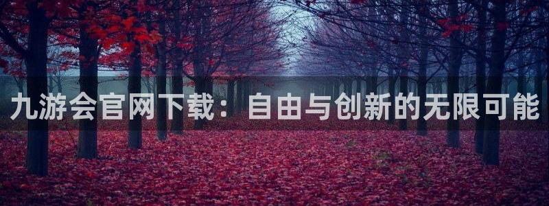 k8凯发体育代理申请流程：九游会官网下载：自由与创新的无限可能