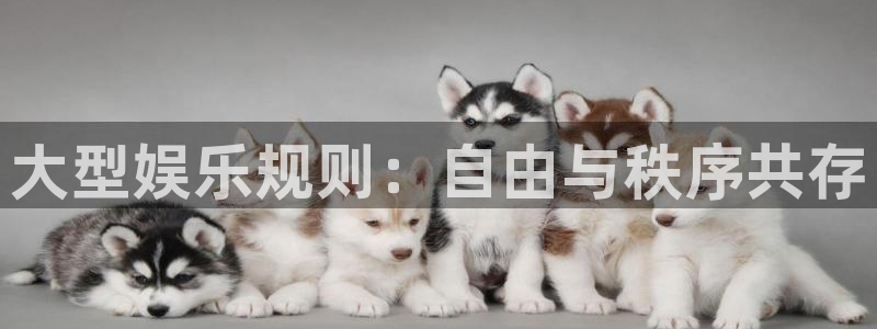k8凯发官网版下载：大型娱乐规则：自由与秩序共存