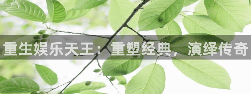 k8凯发预测在线预测：重生娱乐天王：重塑经典，演绎传奇