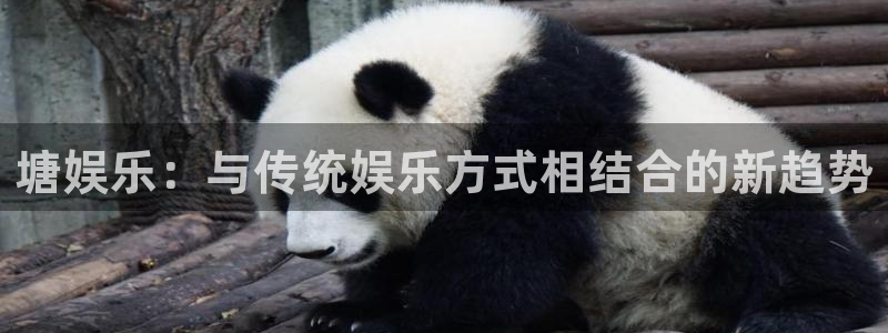 k8凯发注册链接入口：塘娱乐：与传统娱乐方式相结合的新趋势