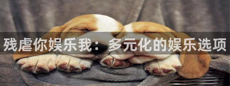 k8凯发平台下载入口：残虐你娱乐我：多元化的娱乐选项
