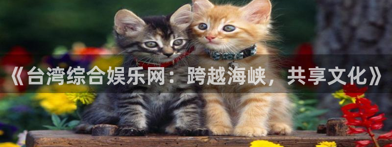 k8凯发app：《台湾综合娱乐网：跨越海峡，共享文化》