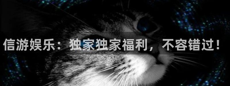 k8凯发体育代理申请流程：信游娱乐：独家独家福利，不容错过！