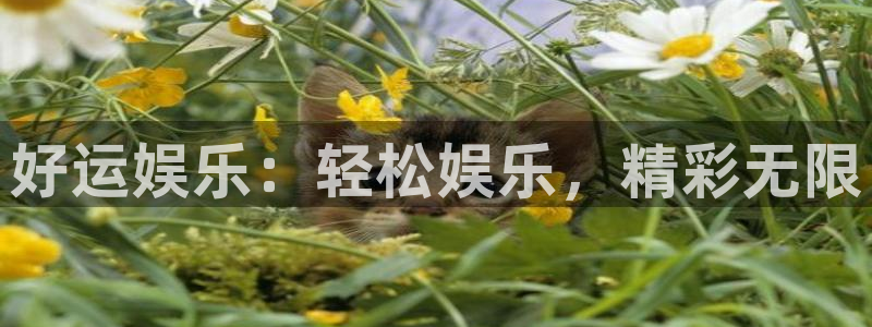 k8凯发2平台注册：好运娱乐：轻松娱乐，精彩无限