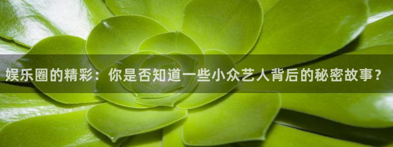 k8凯发平台官网：娱乐圈的精彩：你是否知道一些小众艺人背后的秘密故事？