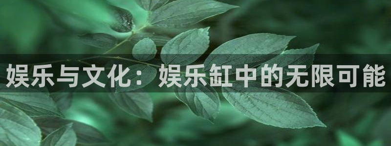 k8凯发体育2：娱乐与文化：娱乐缸中的无限可能