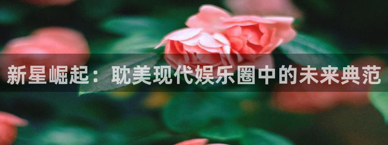 k8凯发预测在线预测：新星崛起：耽美现代娱乐圈中的未来典范