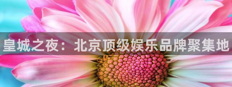 k8凯发体育网页版入口：皇城之夜：北京顶级娱乐品牌聚集地