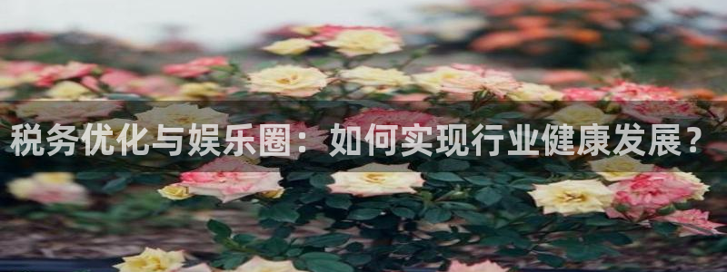 k8凯发电子游戏网页版：税务优化与娱乐圈：如何实现行业健康发展？