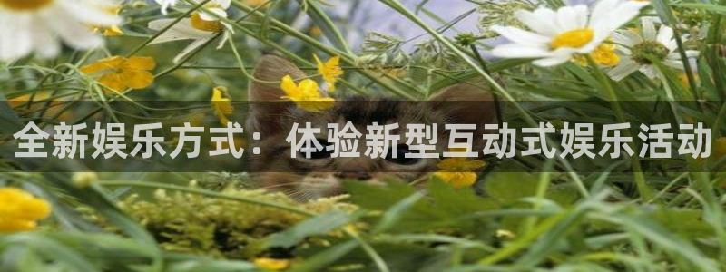k8凯发官方网站：全新娱乐方式：体验新型互动式娱乐活动